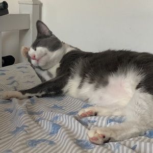 Meet your Posher, Matthew